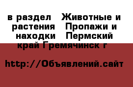  в раздел : Животные и растения » Пропажи и находки . Пермский край,Гремячинск г.